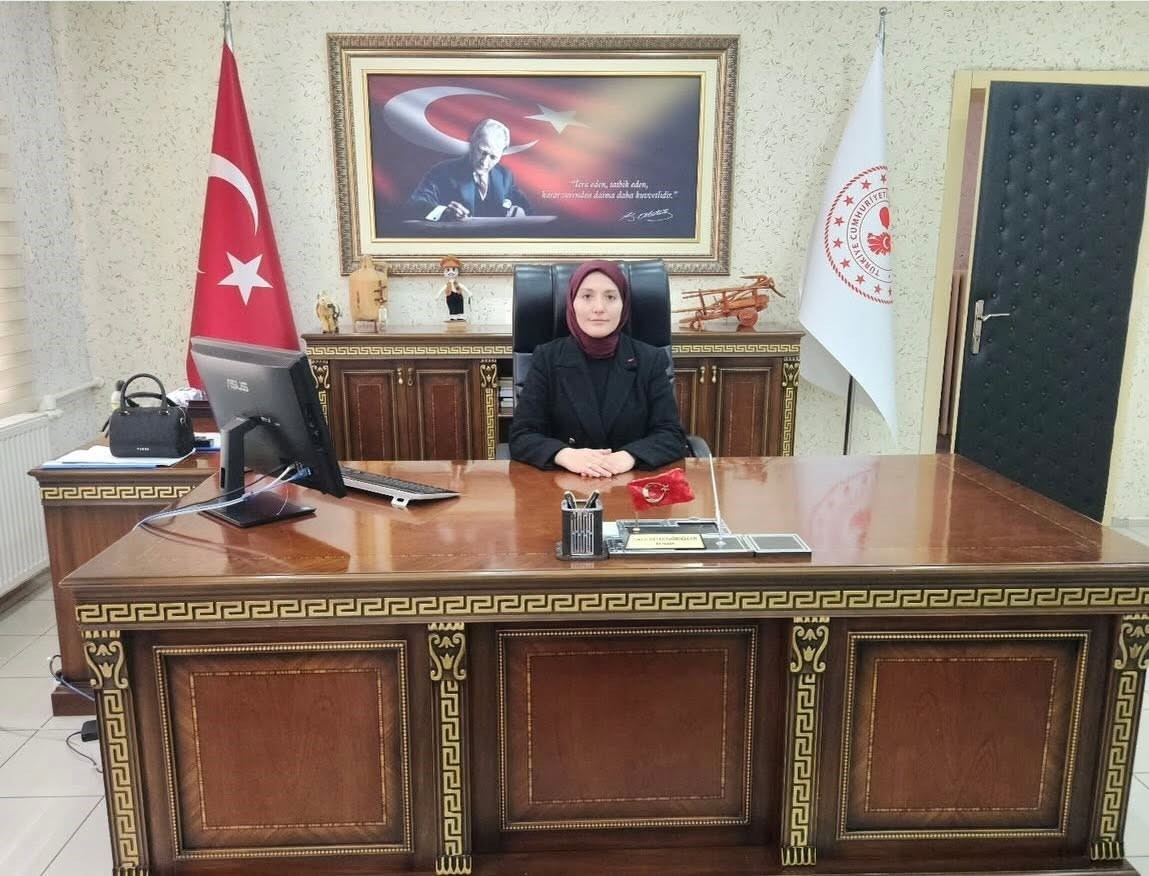 Vali yardımcıları ve kaymakamlar kararnamesi yayınlandı