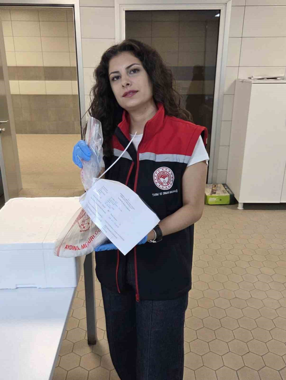 Söke’de ihraç edilecek su ürünlerine sıkı denetim