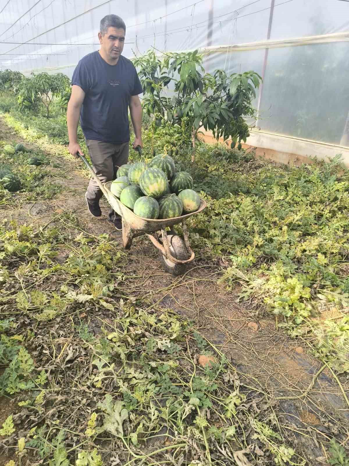 Hayırsever çiftçinin tarlası bu yıl öğrencilerin için hasat edildi