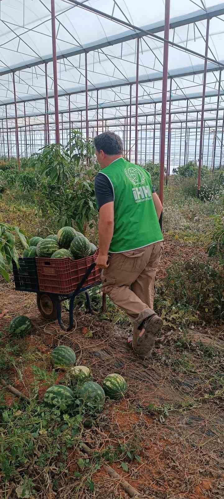 Hayırsever çiftçinin tarlası bu yıl öğrencilerin için hasat edildi