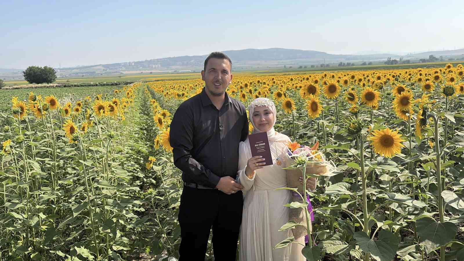 Osmaniye’de ayçiçeği tarlaları yeni evli çiftlerin gözdesi oldu