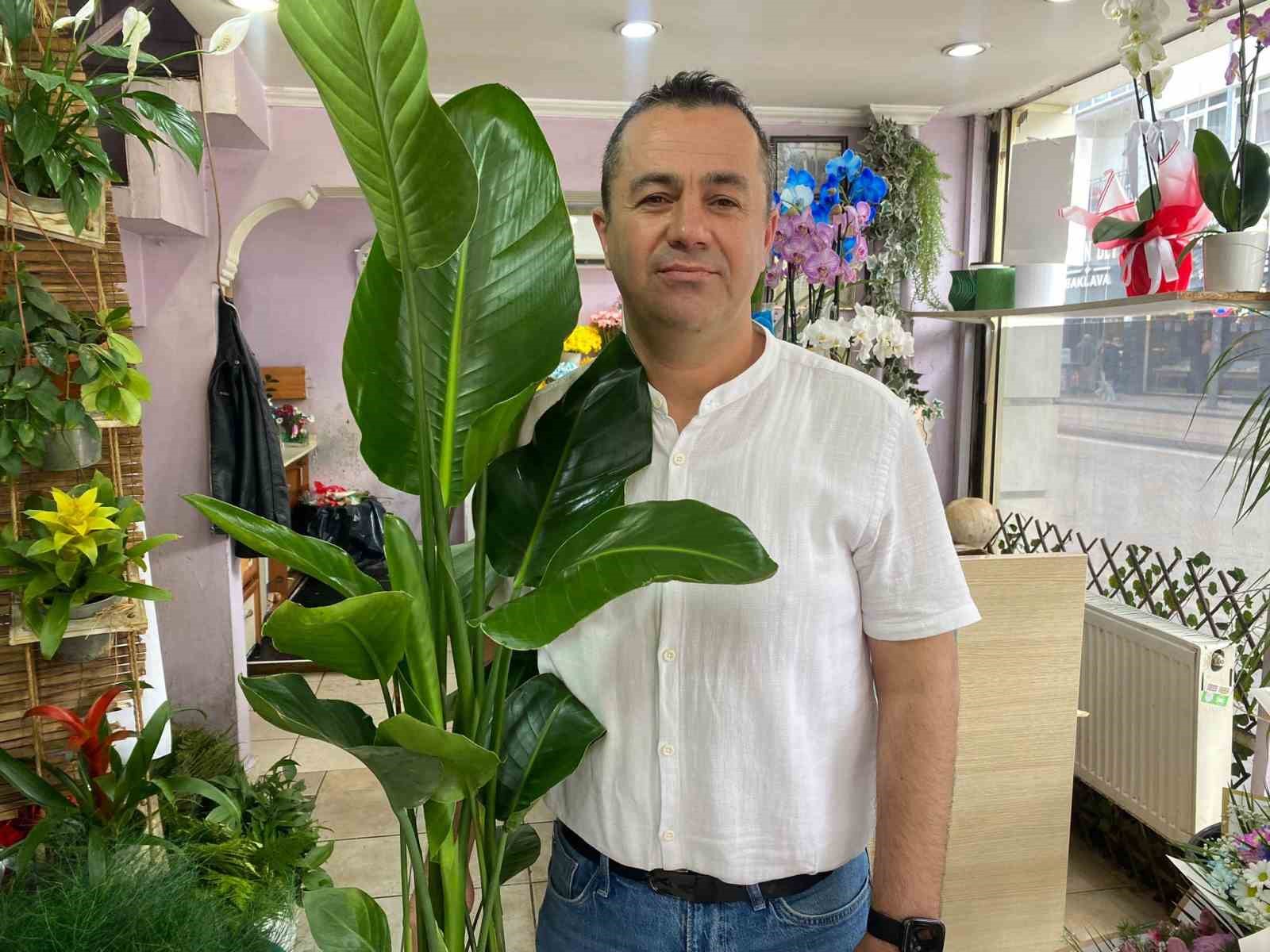 Yaz aylarında çiçek bakımında bunlara dikkat