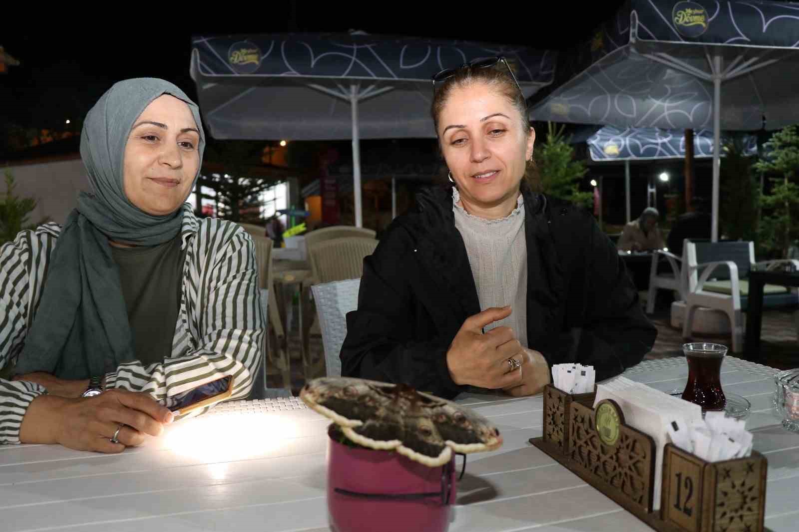 "Baykuş kelebeği" büyüklüğü ile görenleri hayrete düşürdü