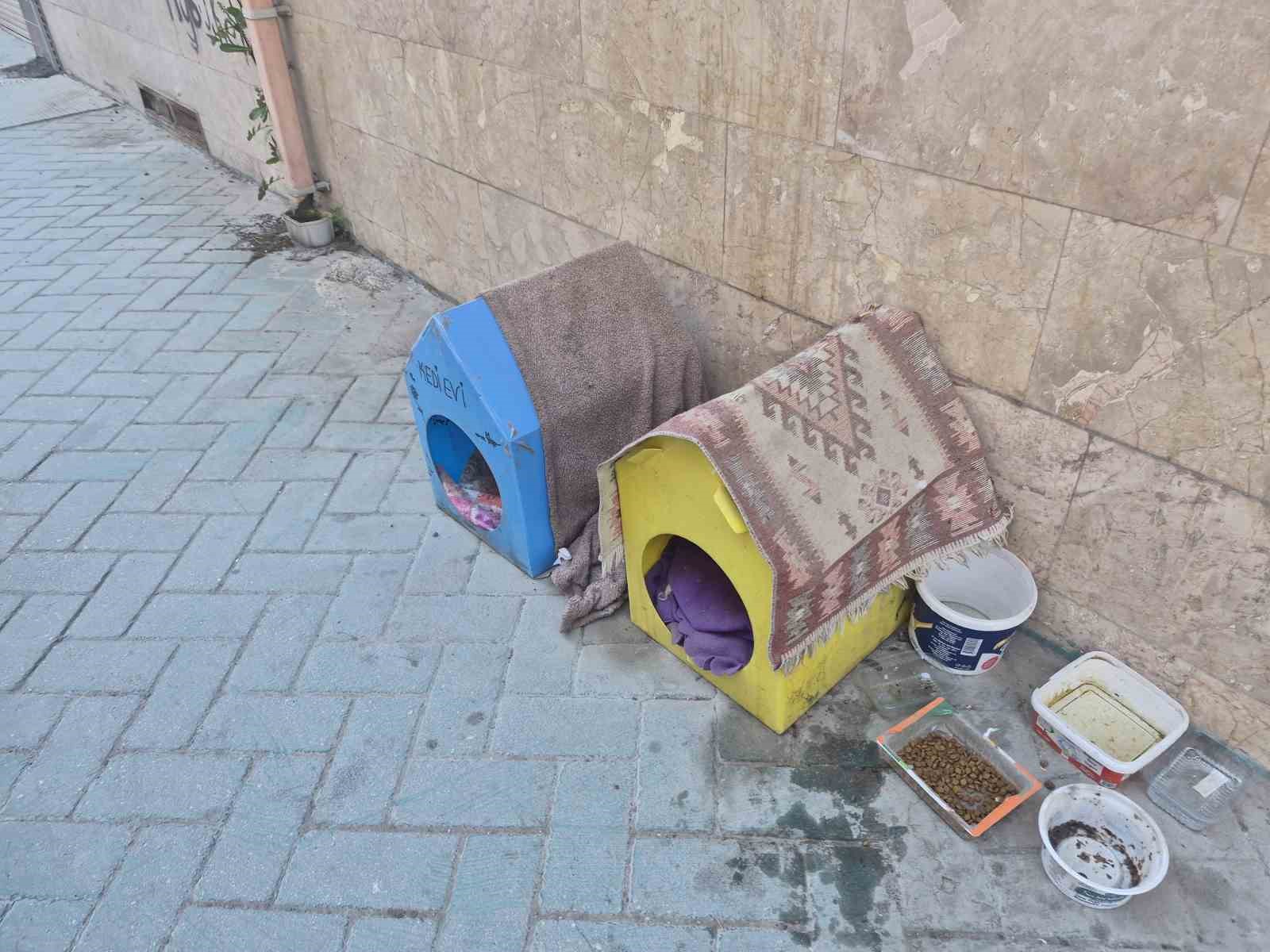 Kediler için yaptığı evler için vicdanlara seslendi, "Lütfen dokunmayalım"