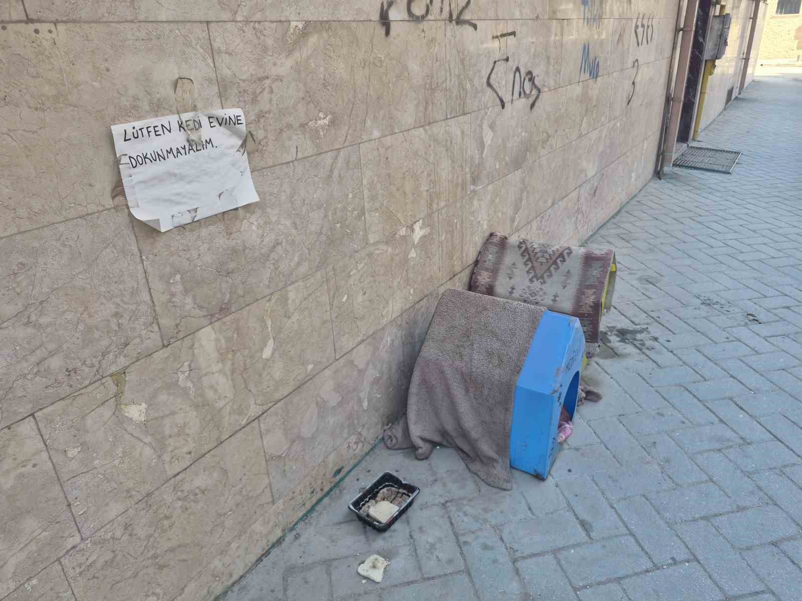 Kediler için yaptığı evler için vicdanlara seslendi, "Lütfen dokunmayalım"