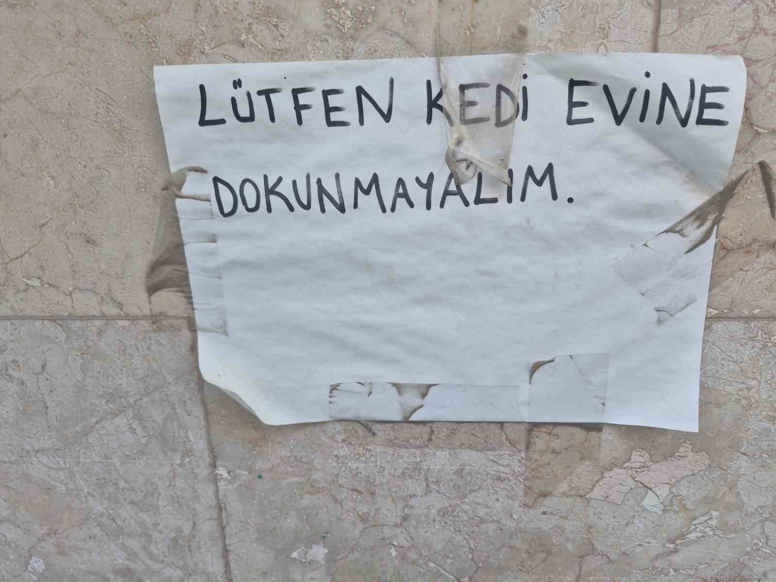 Kediler için yaptığı evler için vicdanlara seslendi, "Lütfen dokunmayalım"