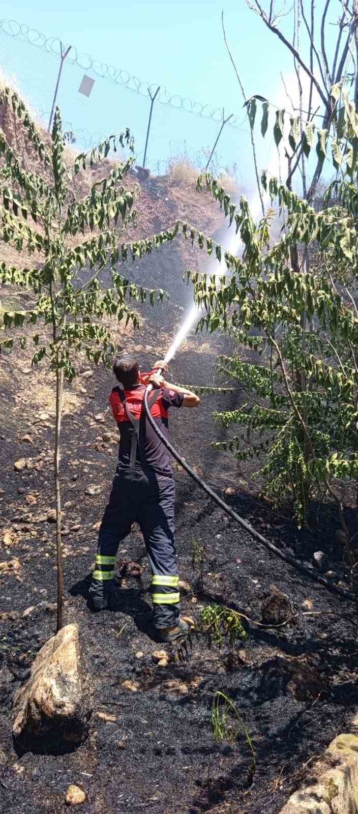 Siirt’te iş makinesinden çıkan kıvılcımı otluk alanı yaktı