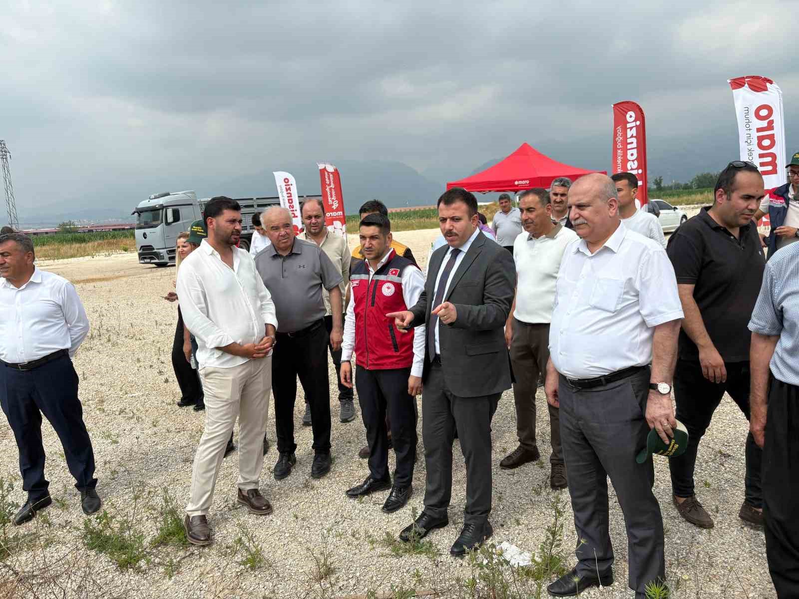 Osmaniye’de 15 gün gecikmeli başlayan hasatta yüksek verim sevinci