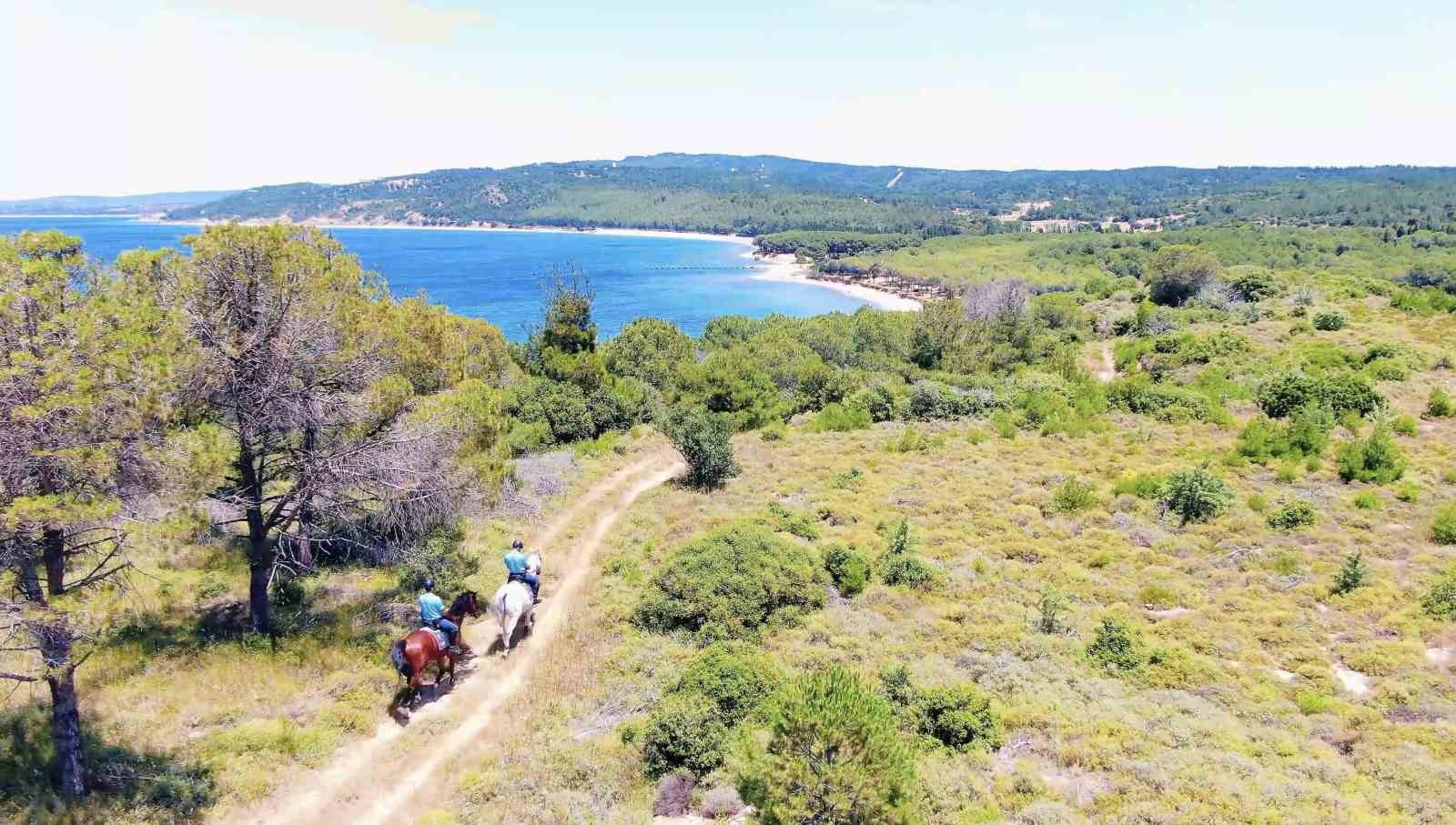 Çanakkale’de orman yangınlarına karşı jandarma ekipleri sahada