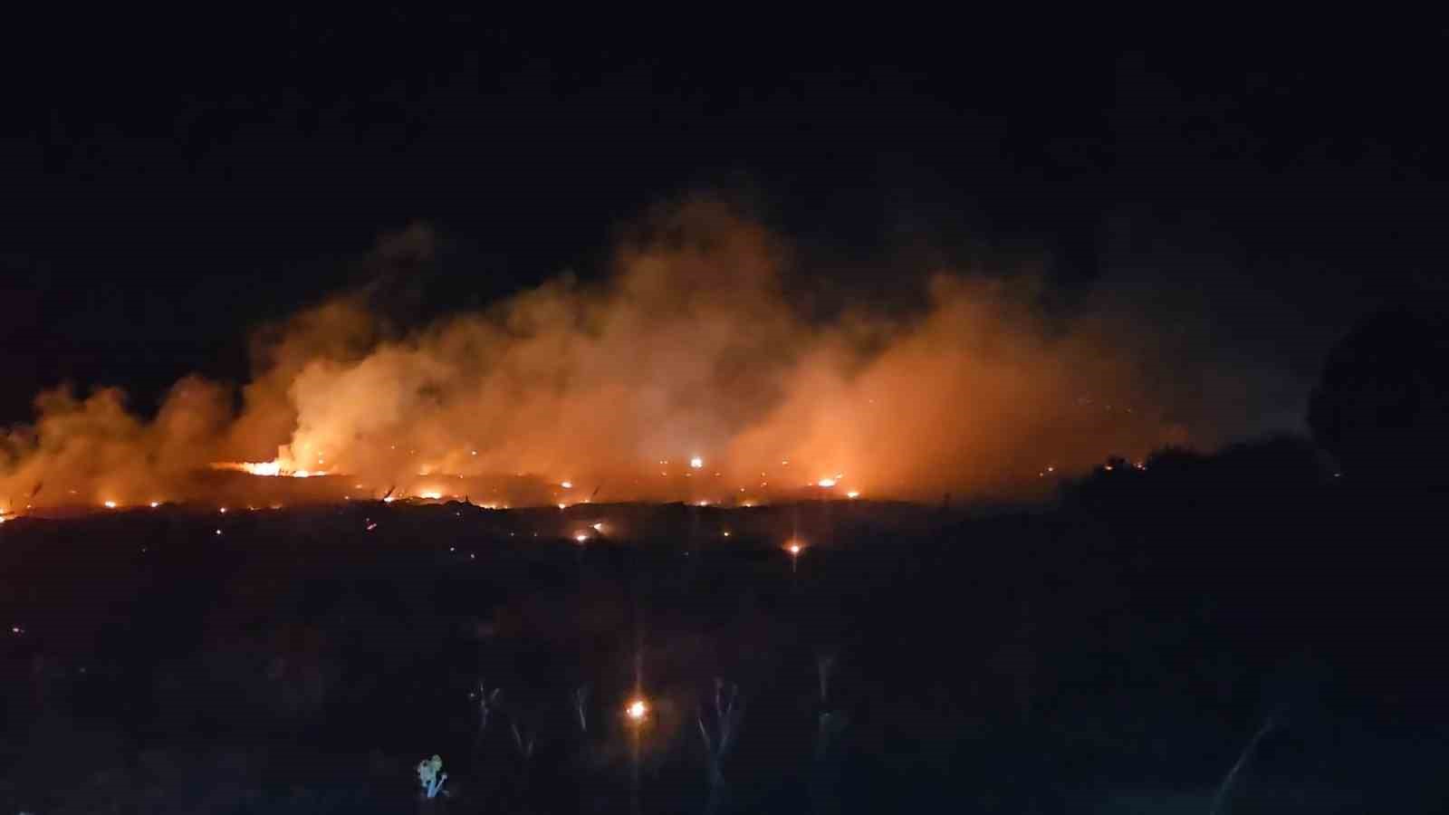 Burhaniye’de korkutan örtü yangını