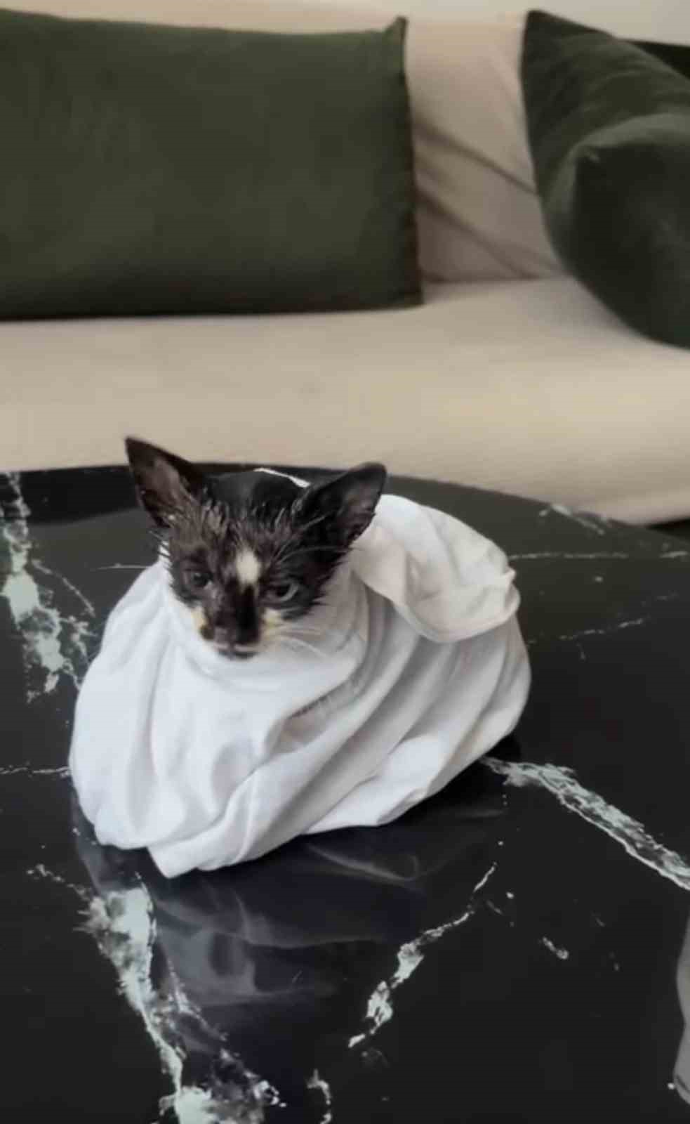 Yağmur suyu borusuna sıkışan yavru kedi uzun uğraşlar sonrasında kurtarıldı