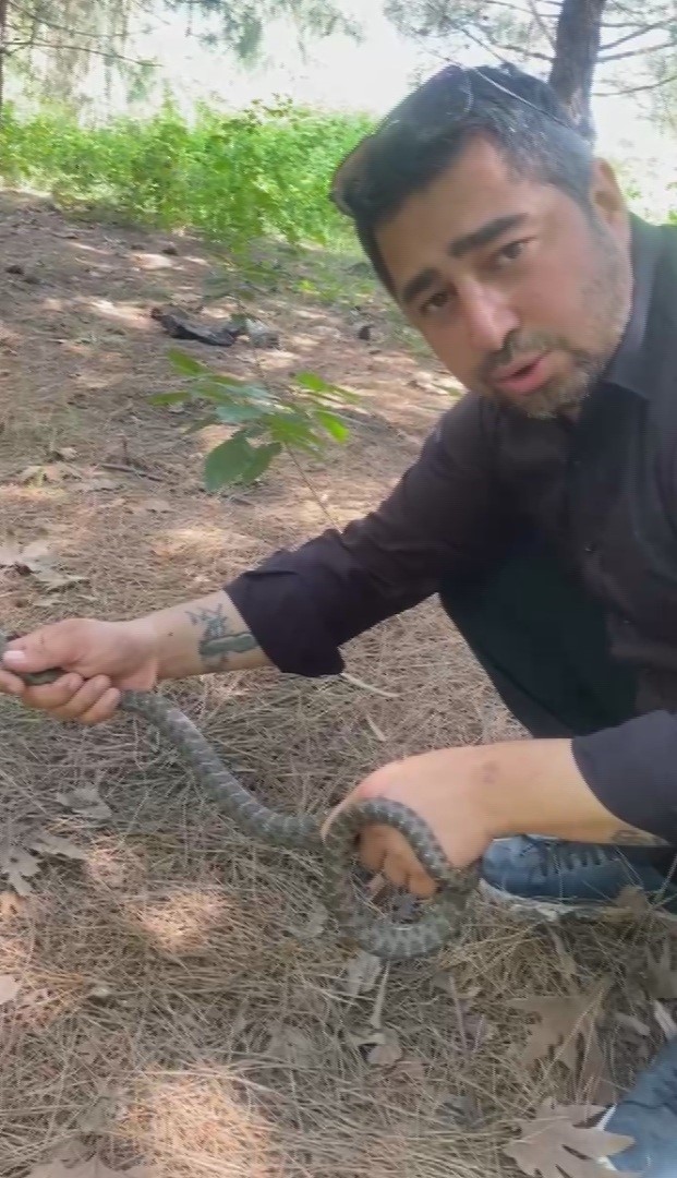 Klima ünitesinin boru hattında yakaladığı yılanı "Sevgili yılan insanlardan uzak dur, yoksa ne yaparlar biliyorsun" diyerek doğaya saldı