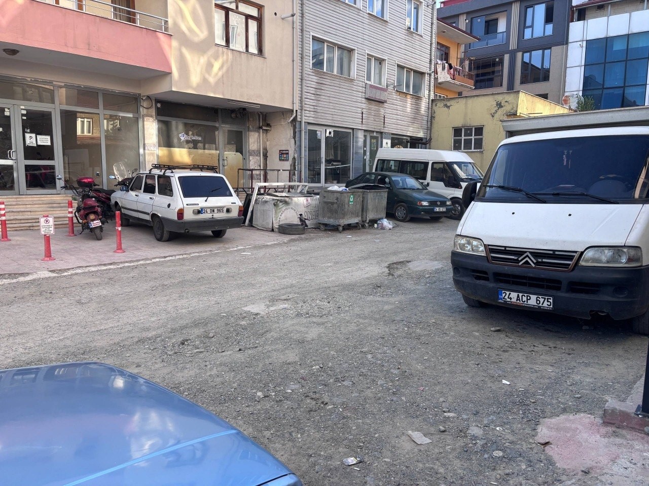 Erzincan’da karga ailesi yavrusu için kedilere ve insanlara meydan okudu