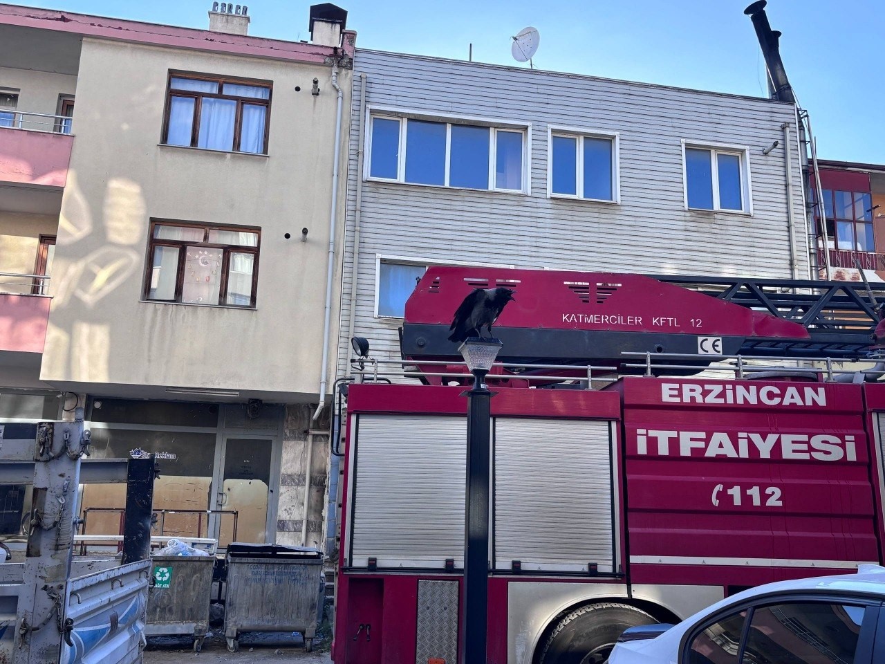 Erzincan’da karga ailesi yavrusu için kedilere ve insanlara meydan okudu