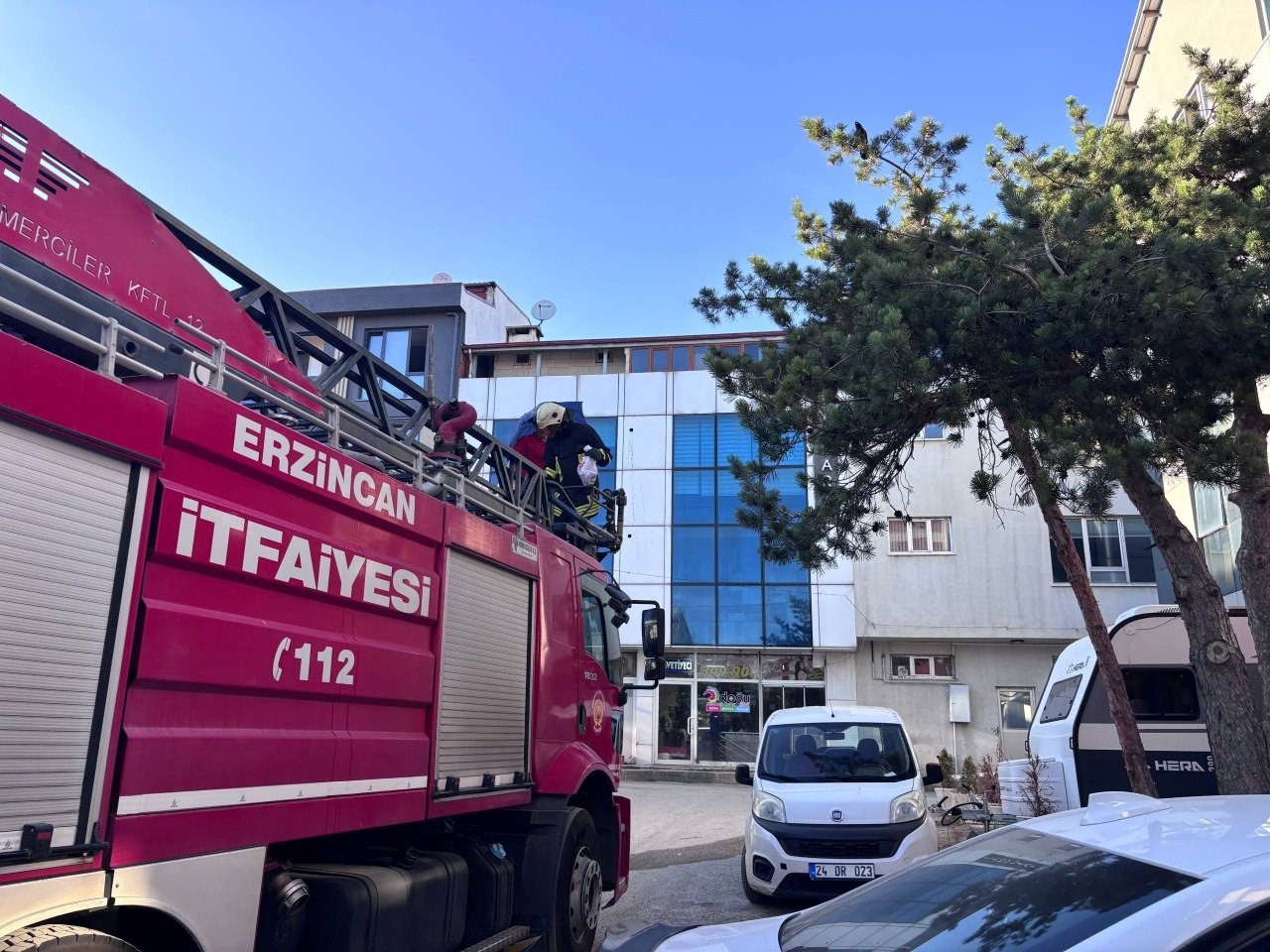 Erzincan’da karga ailesi yavrusu için kedilere ve insanlara meydan okudu