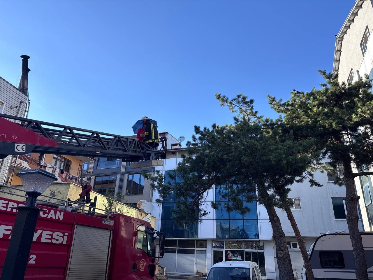 Erzincan’da karga ailesi yavrusu için kedilere ve insanlara meydan okudu