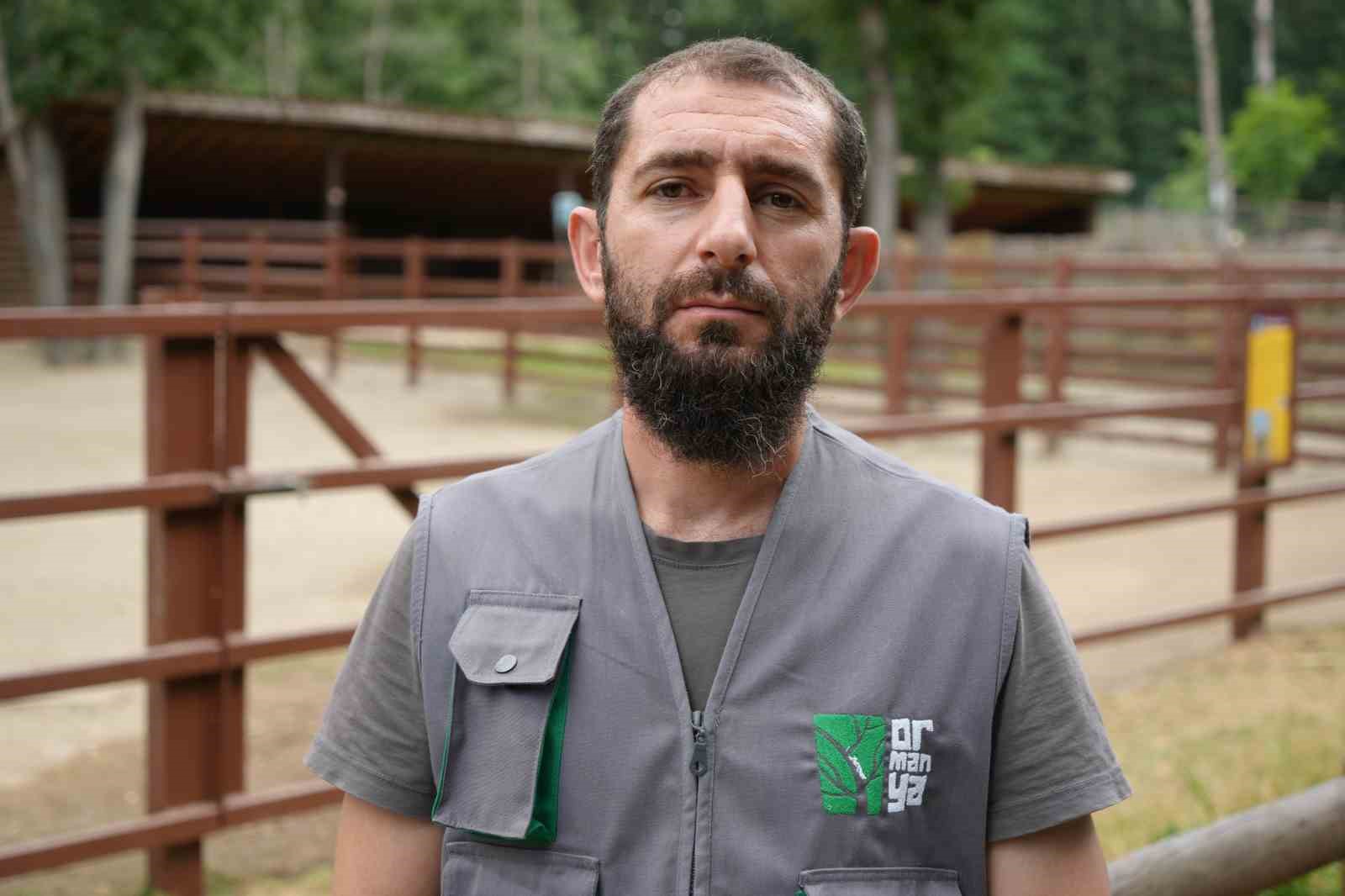 Avrupa’nın en büyük doğal yaşam parkında yavru deve heyecanı