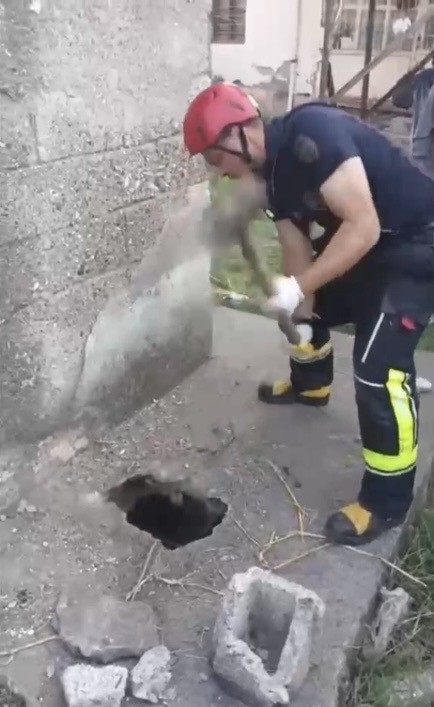 Osmaniye’de balyozla genişletilen kuyudan yavru kedi kurtarıldı
