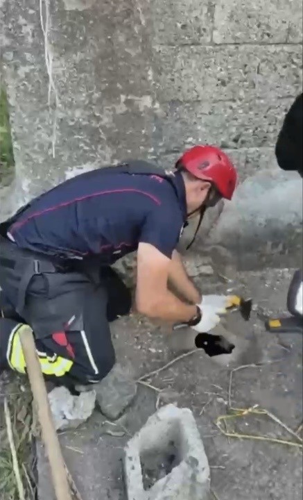 Osmaniye’de balyozla genişletilen kuyudan yavru kedi kurtarıldı
