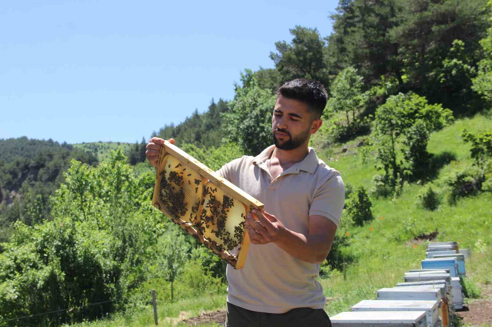 Sivas’ta bu yıl bal üretiminde rekor bekleniyor