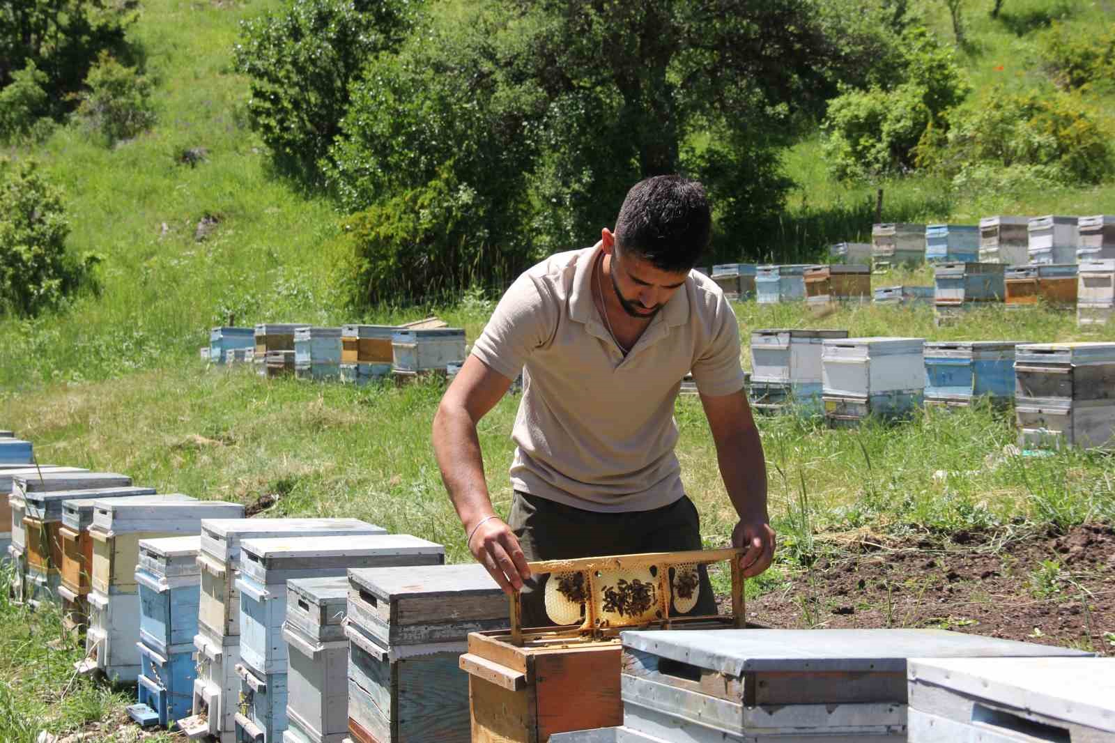 Sivas’ta bu yıl bal üretiminde rekor bekleniyor