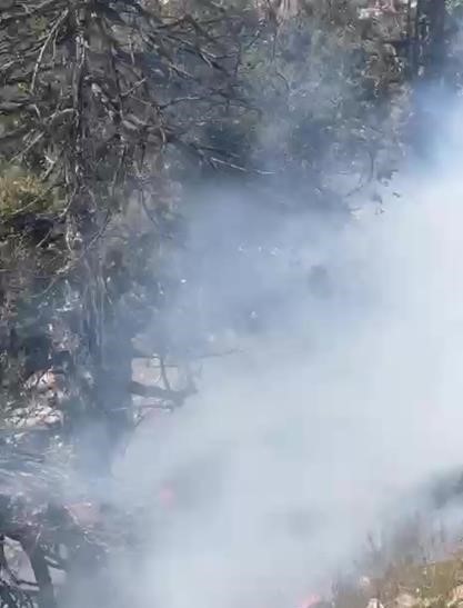 Çöp döküm alanındaki yangın ormana sıçradı