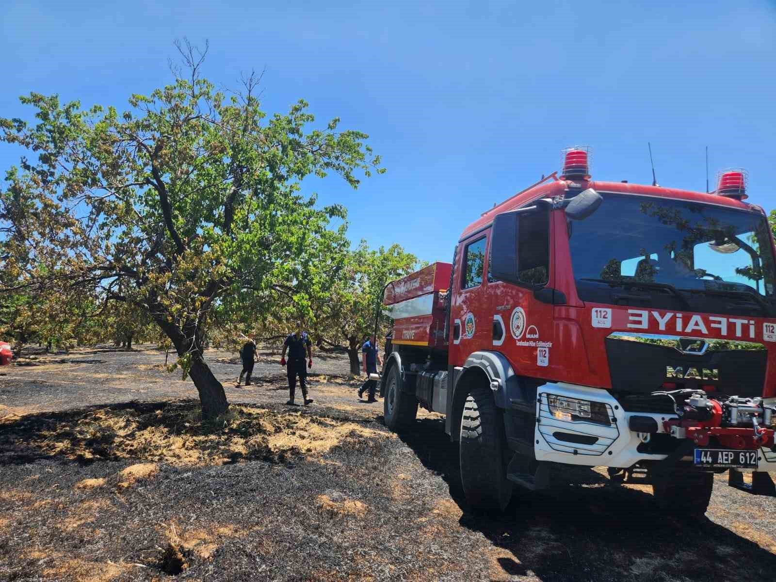 Malatya’da bahçe ve orman yangını