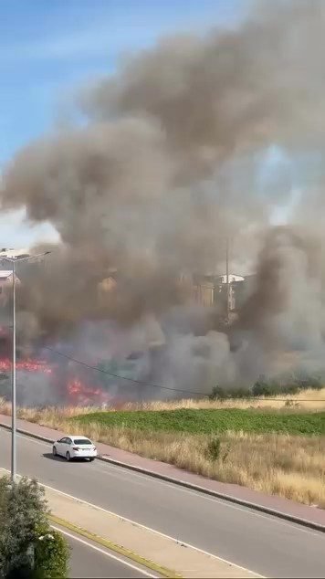 Darıca’da arazide korkutan yangın