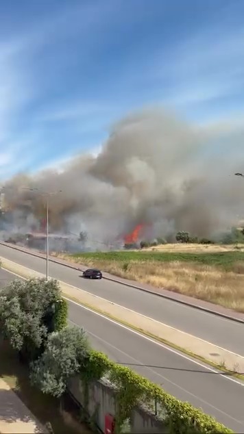 Darıca’da arazide korkutan yangın