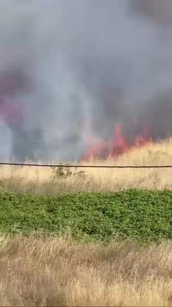 Darıca’da arazide korkutan yangın