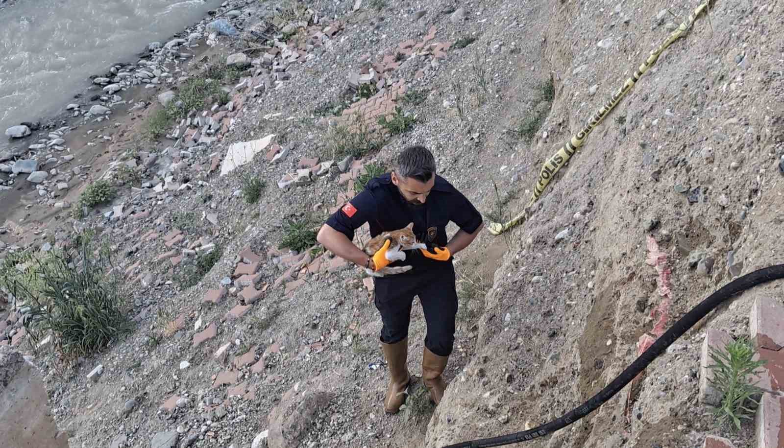 Çorum’da çaya düşen kediyi itfaiye kurtardı