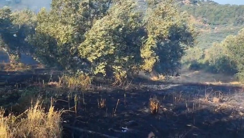 Ayvacık’ta zeytinlik alanda çıkan yangın kontrol altına alındı