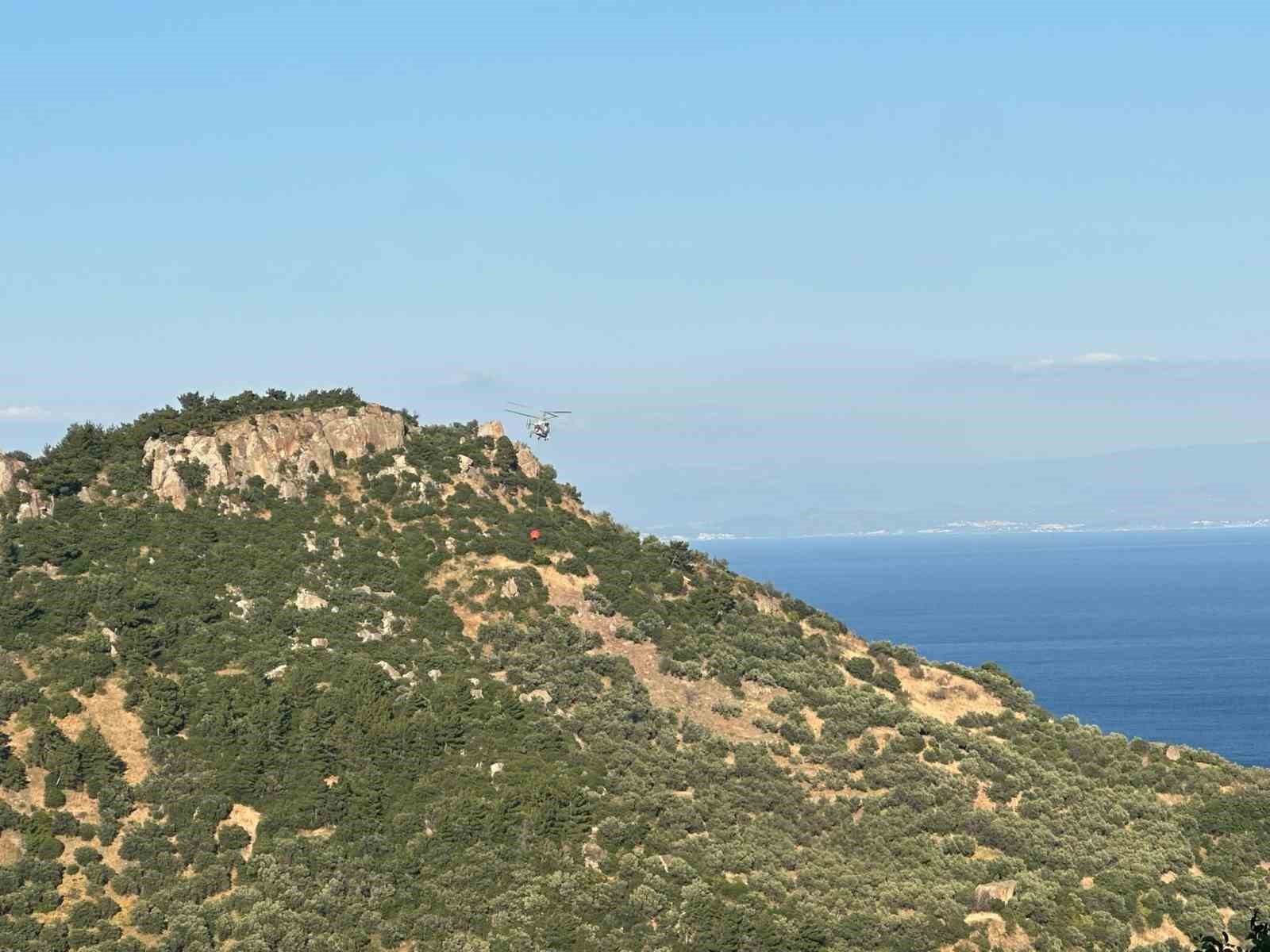 Ayvacık’ta zeytinlik alanda çıkan yangın kontrol altına alındı