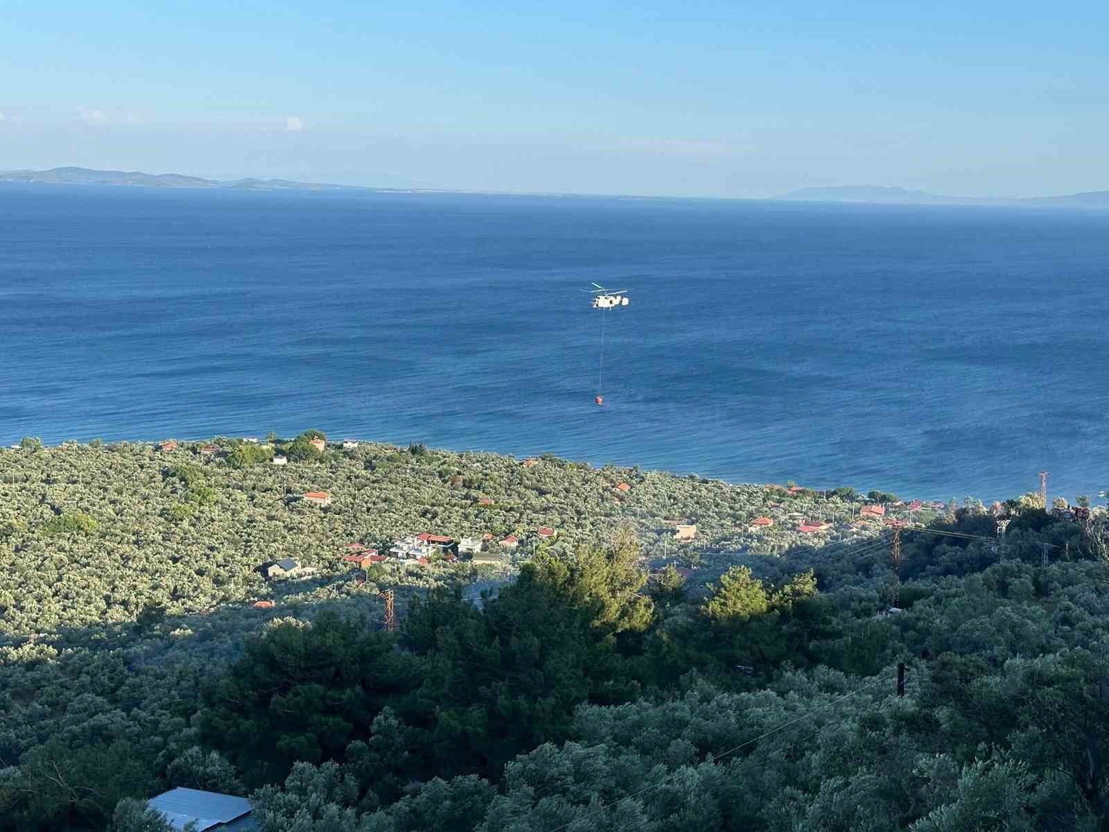 Ayvacık’ta zeytinlik alanda çıkan yangın kontrol altına alındı