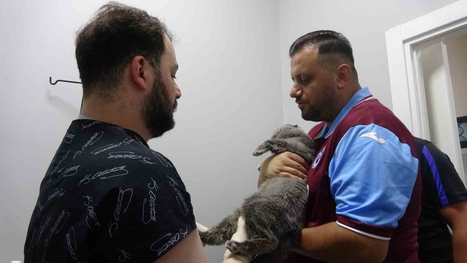 Kayıp kedi ’Tom’ 4 gün sonra bulundu