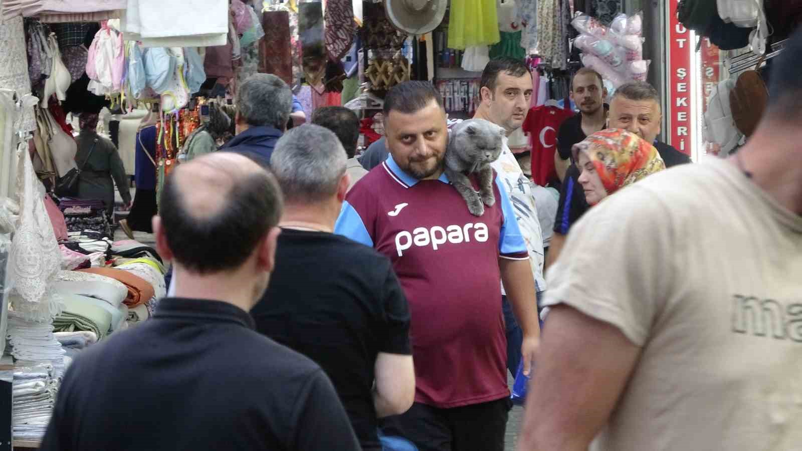 Kayıp kedi ’Tom’ 4 gün sonra bulundu