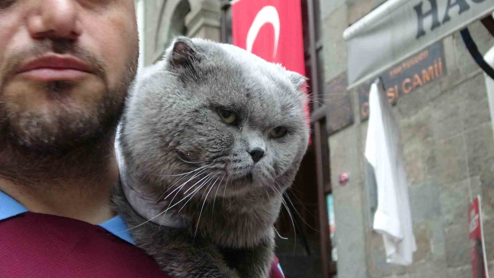 Kayıp kedi ’Tom’ 4 gün sonra bulundu