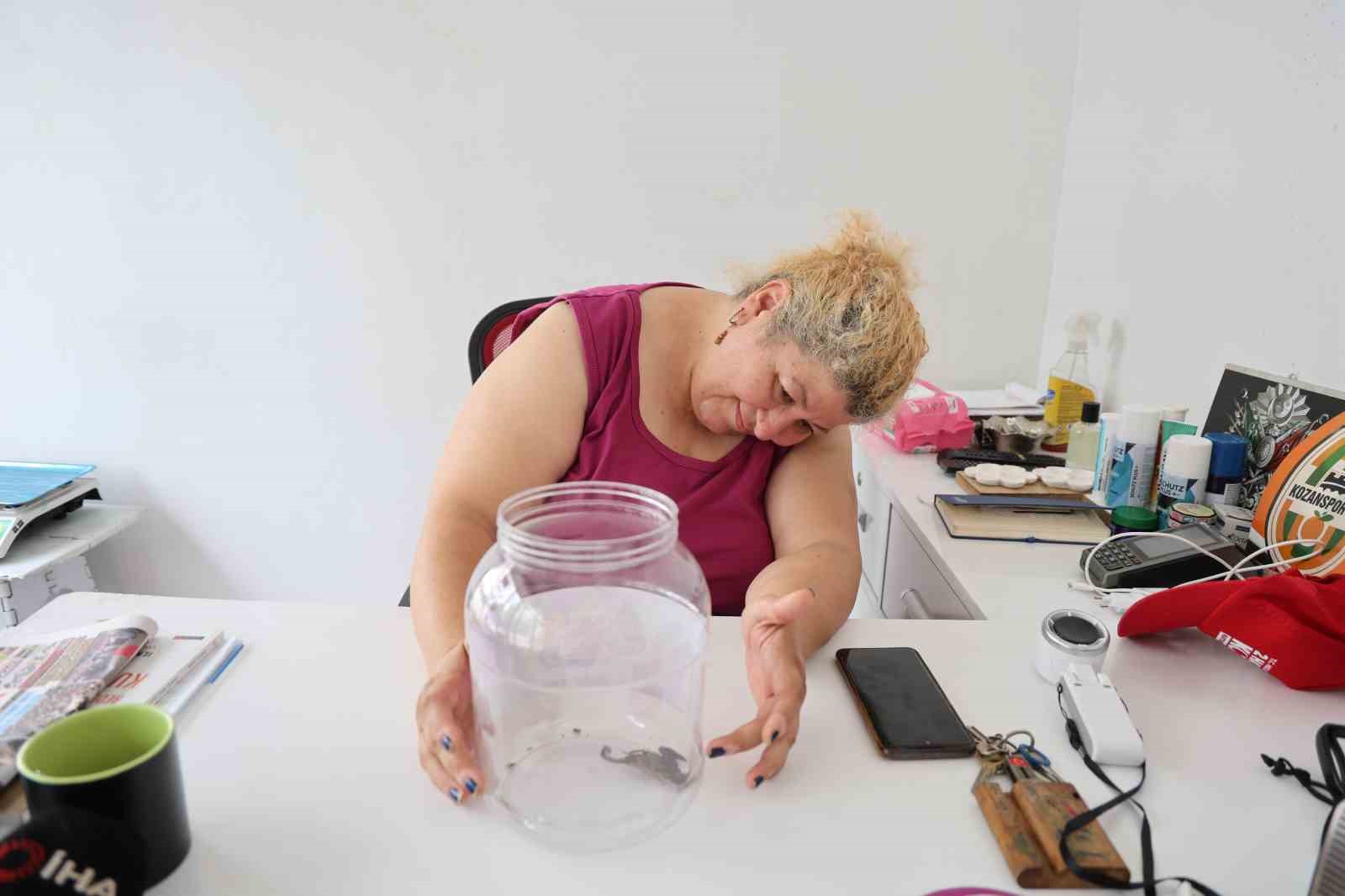 İş yerinin önünde akrep bulan esnaf ona bidon içinde bakmaya başladı