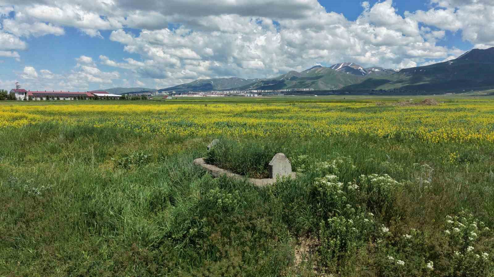 93 Harbi’nin meçhul şehidi 149 yıldır Erzurum Ovası’nda nöbet tutuyor