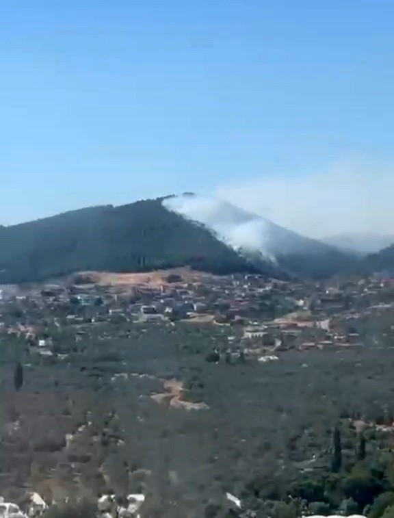 Balıkesir’de orman yangını