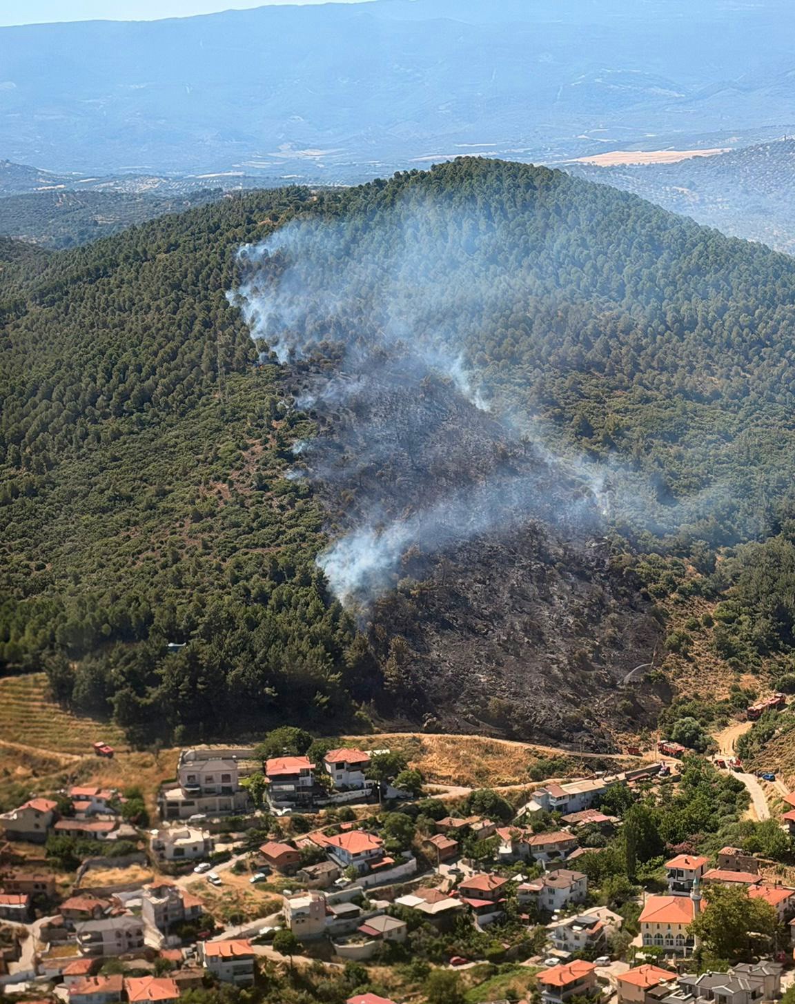 Balıkesir’de orman yangını
