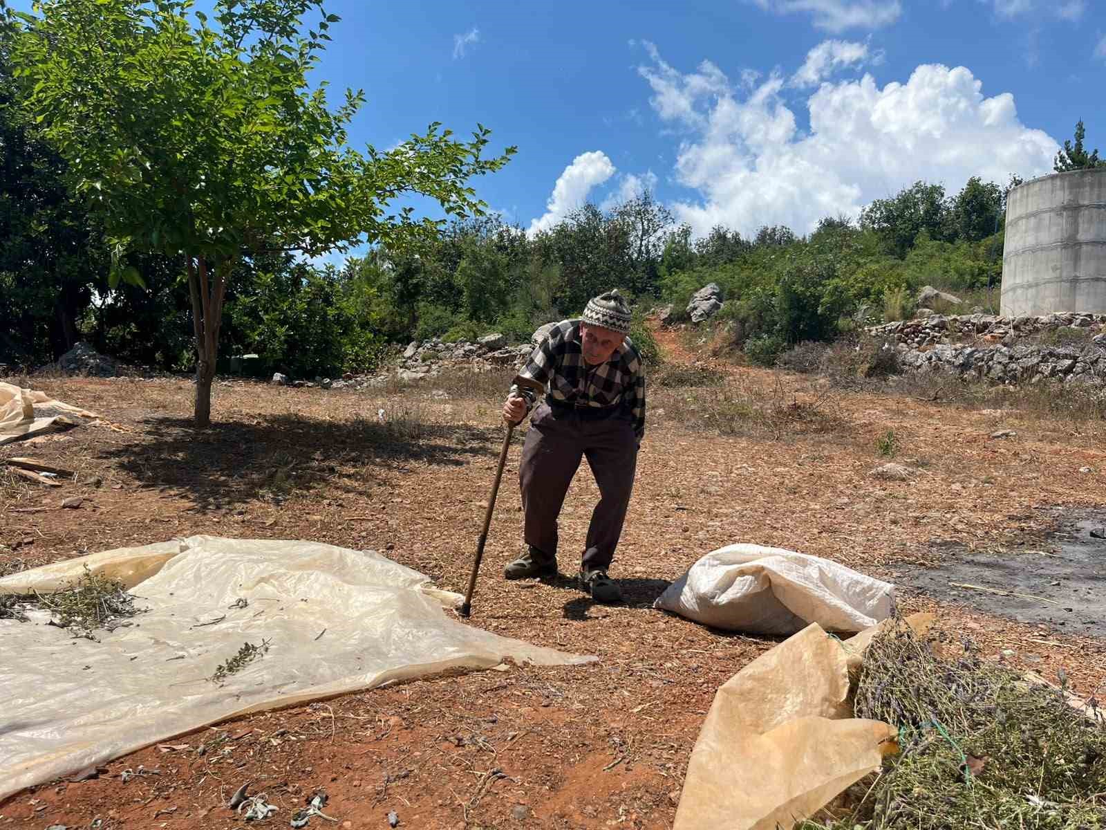 Üç evladını toprağa verdi, asırlık ömrünü doğayla iç içe sürdürdü