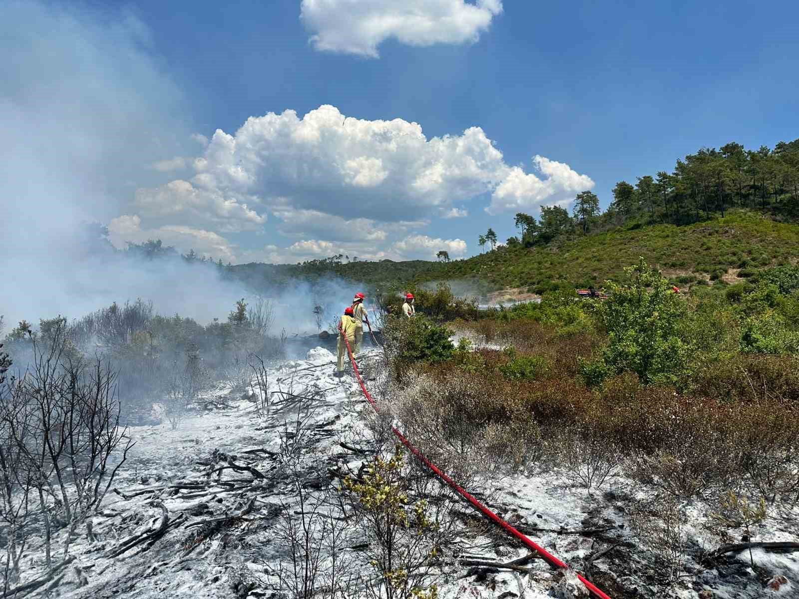 Yol kenarında çıkan yangını ormana sıçradı