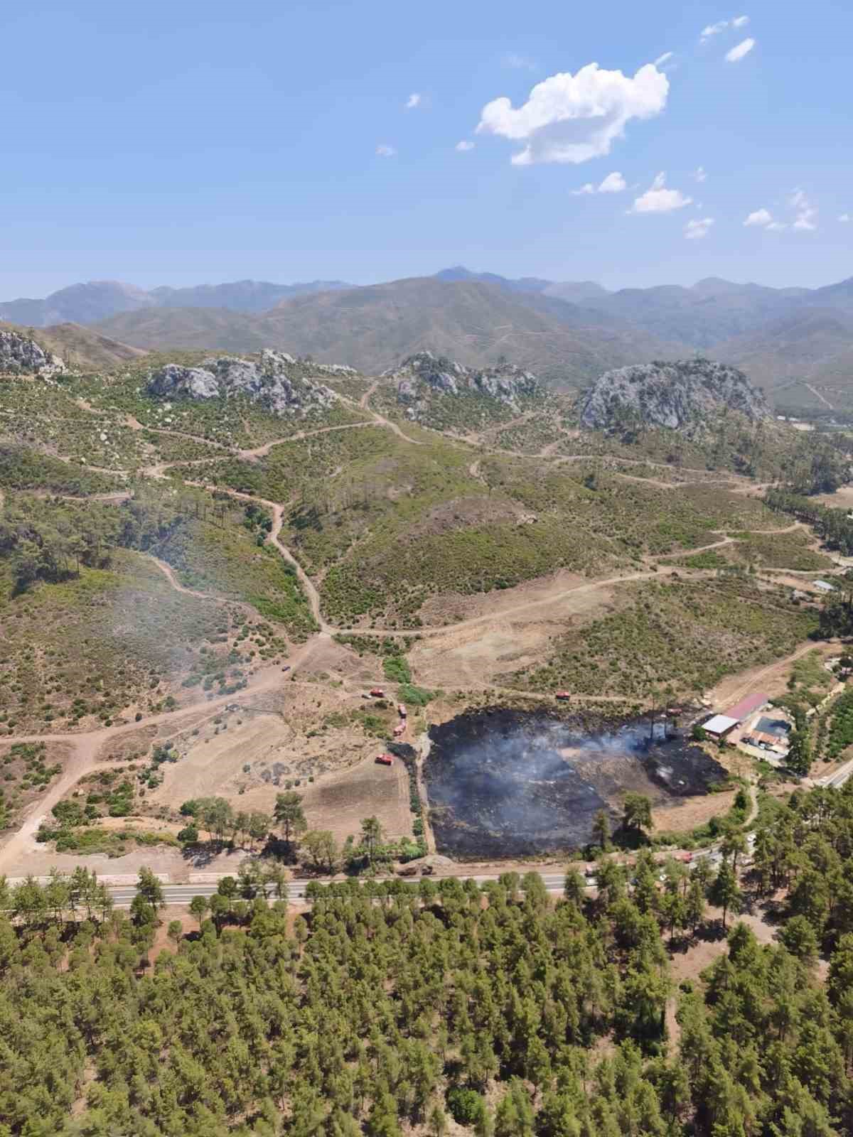 Yol kenarında çıkan yangını ormana sıçradı