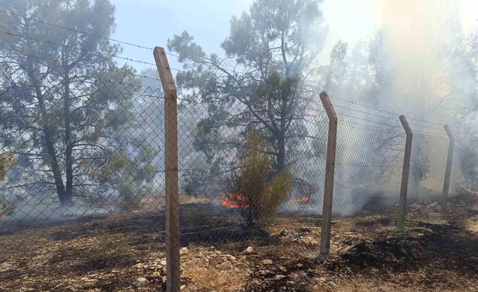Şanlıurfa’da orman yangını