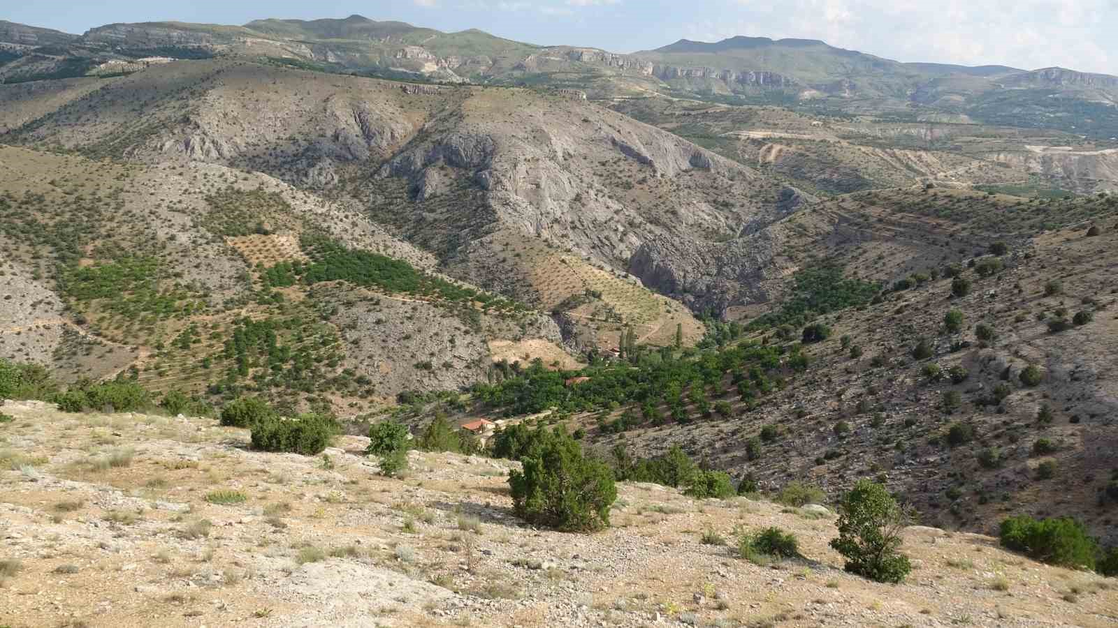 Cinayete kurban giden Aysel Yıldırım için 1600 rakımlı dağlık alanda arama