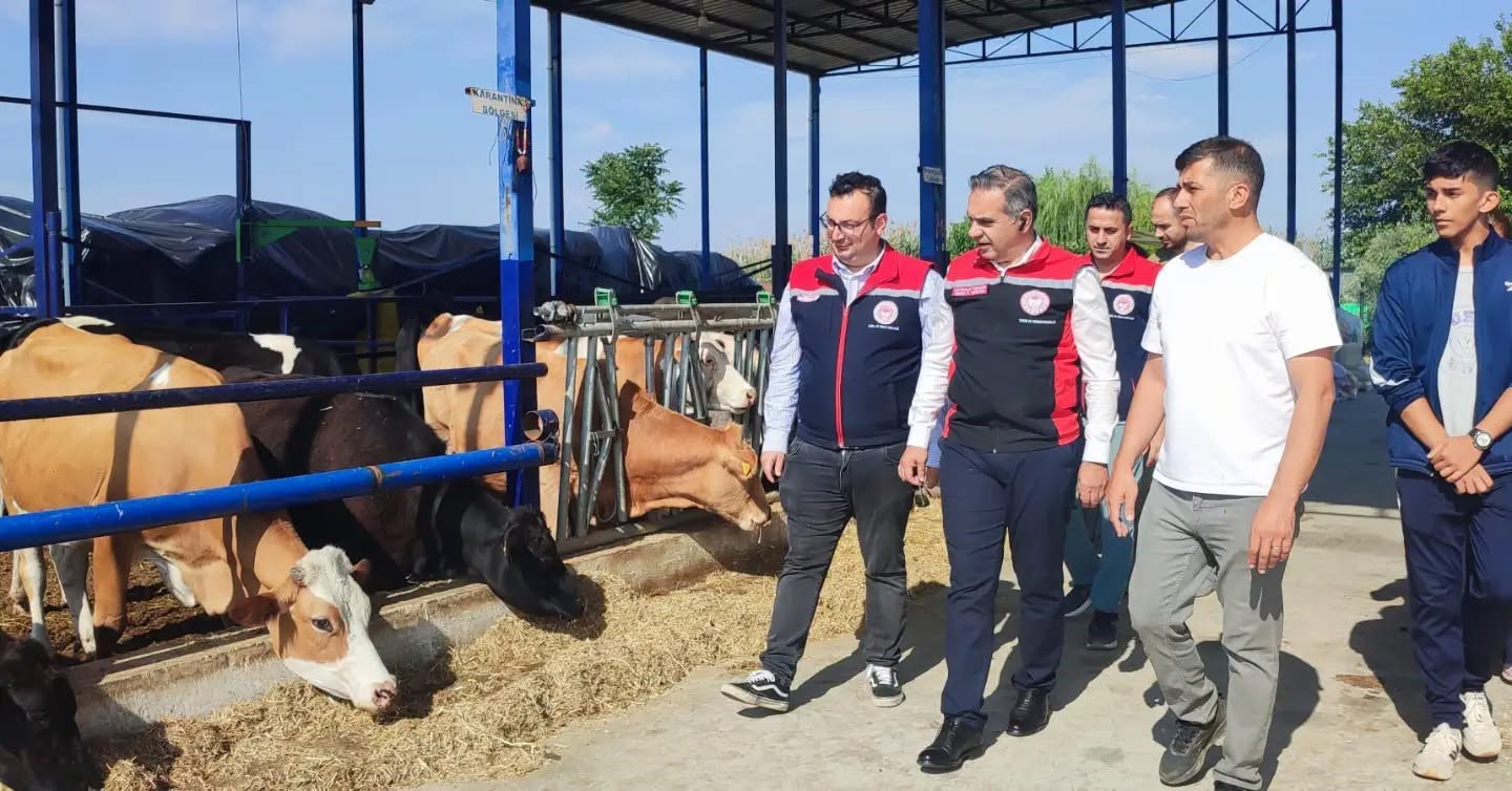 Kırsalda Bereket Hayvancılığa Destek Projesi ile Aydın’da üretim gücü artıyor