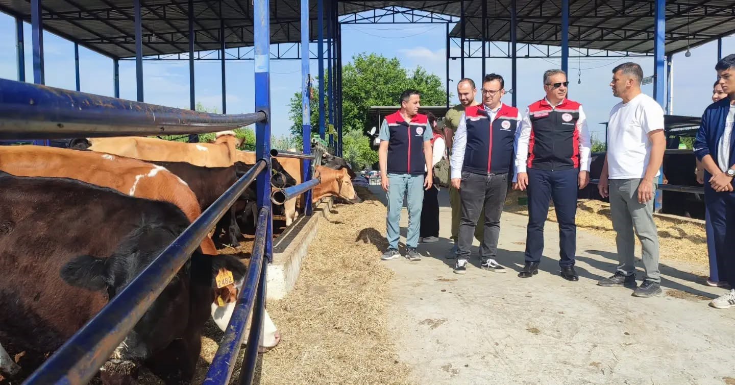 Kırsalda Bereket Hayvancılığa Destek Projesi ile Aydın’da üretim gücü artıyor