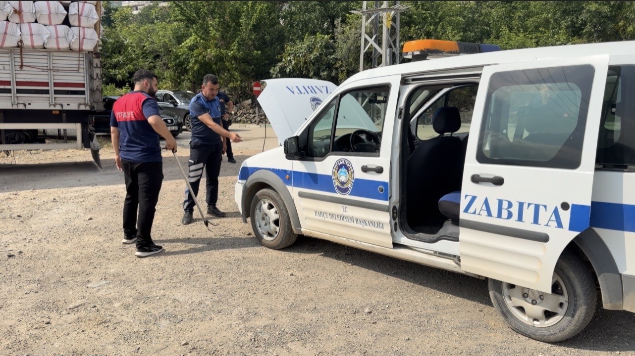 Osmaniye’de kaçak yolcu yılan, üçüncü araçta yakalandı