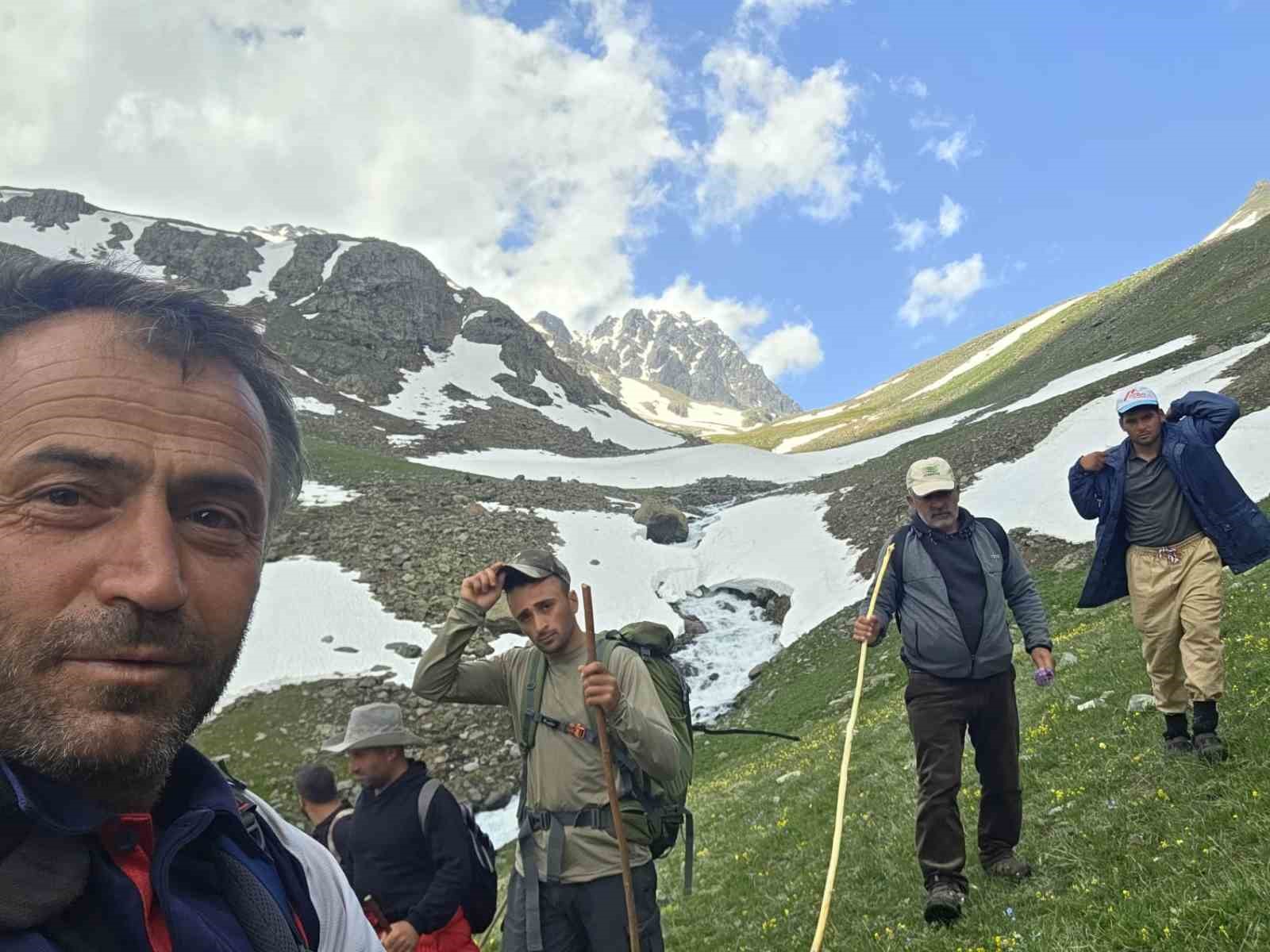 Kaçkarlar’da nefes kesen mücadele: ’Tarihi Öküz Göçü’ tamamlandı
